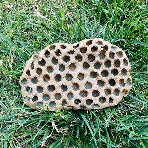 Handmade Ceramic Wasp Nest | Decor Sculpture